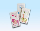 window candy boxes
