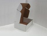 custom locking mailers
