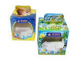cardboard window boxes